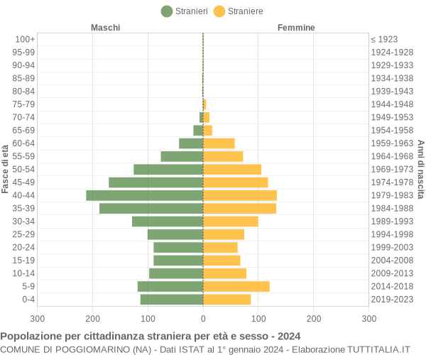 Grafico cittadini stranieri - Poggiomarino 2024