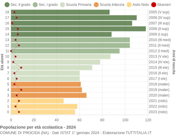 Grafico Popolazione in età scolastica - Procida 2024