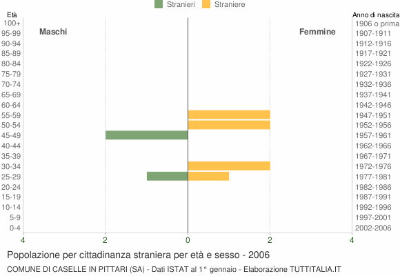 Grafico cittadini stranieri - Caselle in Pittari 2006