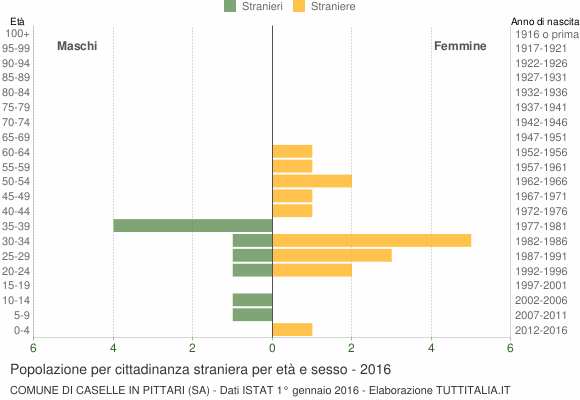 Grafico cittadini stranieri - Caselle in Pittari 2016