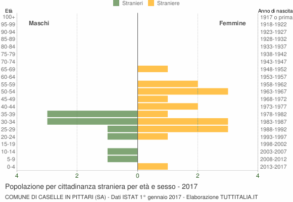 Grafico cittadini stranieri - Caselle in Pittari 2017