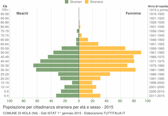 Grafico cittadini stranieri - Nola 2015