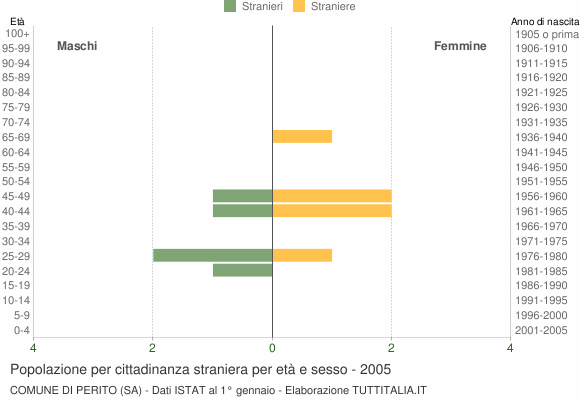 Grafico cittadini stranieri - Perito 2005