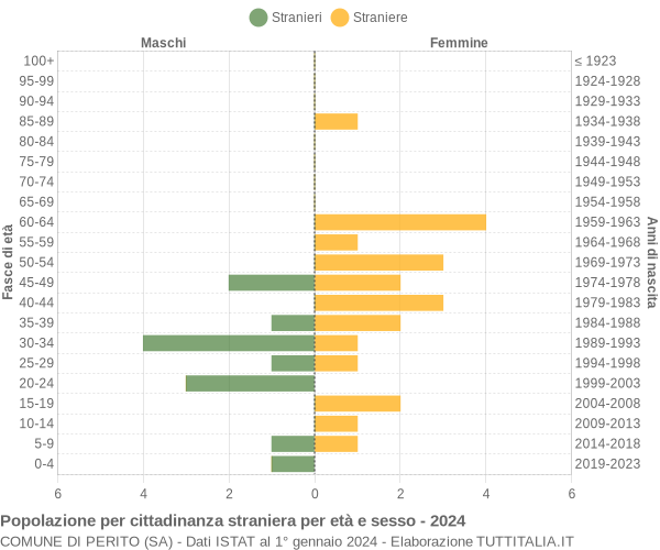 Grafico cittadini stranieri - Perito 2024