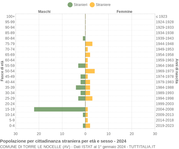 Grafico cittadini stranieri - Torre Le Nocelle 2024