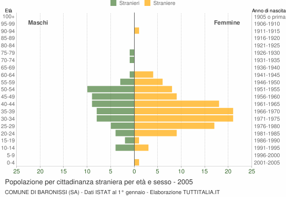 Grafico cittadini stranieri - Baronissi 2005