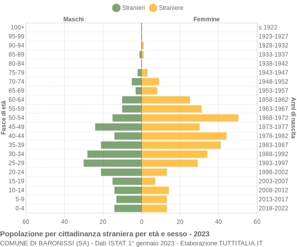 Grafico cittadini stranieri - Baronissi 2023