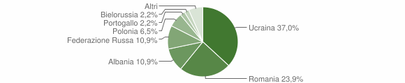 Grafico cittadinanza stranieri - Durazzano 2015