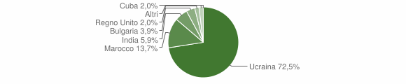 Grafico cittadinanza stranieri - Furore 2010