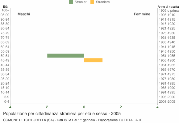 Grafico cittadini stranieri - Tortorella 2005