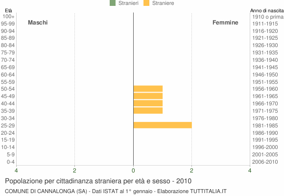 Grafico cittadini stranieri - Cannalonga 2010