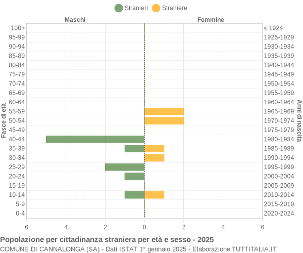 Grafico cittadini stranieri - Cannalonga 2025