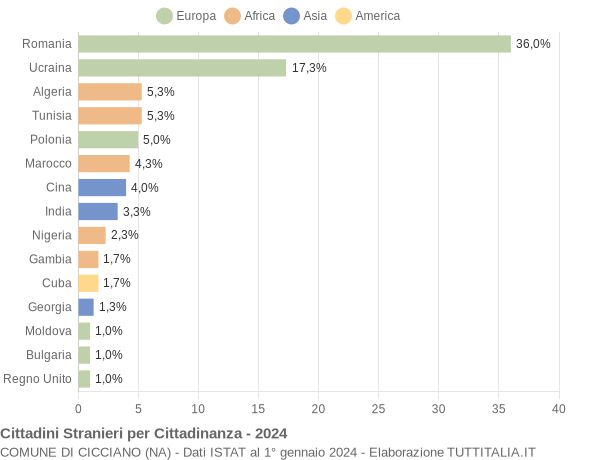 Grafico cittadinanza stranieri - Cicciano 2024