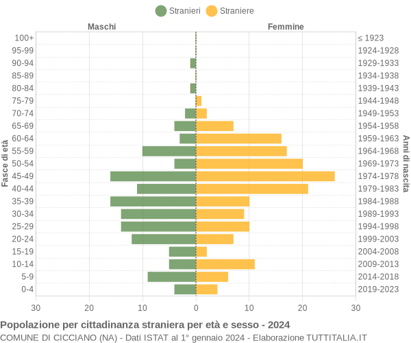 Grafico cittadini stranieri - Cicciano 2024