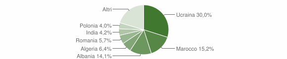 Grafico cittadinanza stranieri - Maddaloni 2011