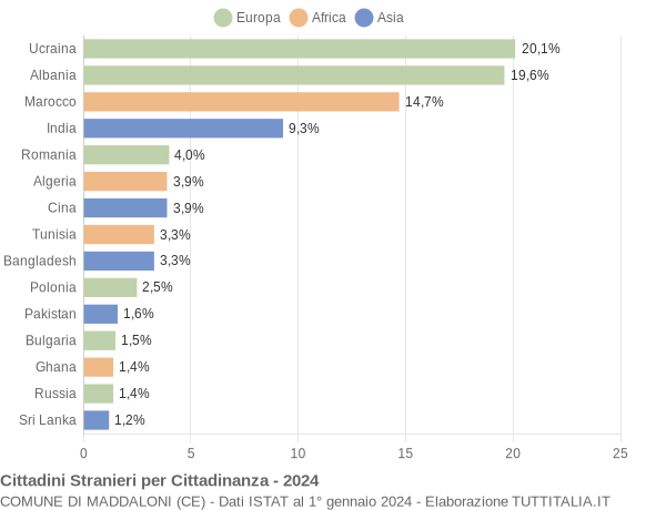 Grafico cittadinanza stranieri - Maddaloni 2024