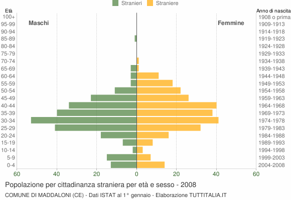 Grafico cittadini stranieri - Maddaloni 2008