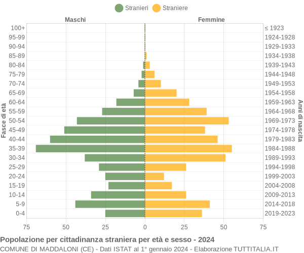 Grafico cittadini stranieri - Maddaloni 2024