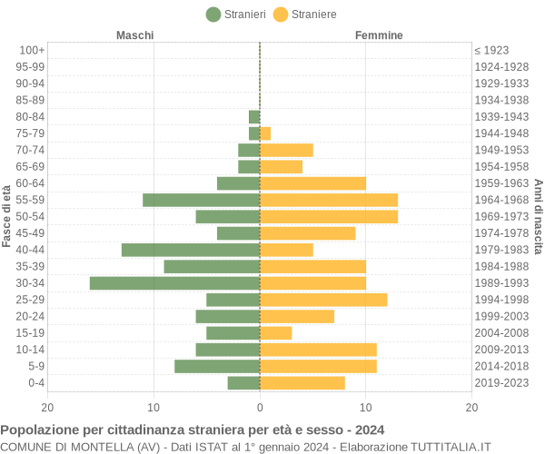 Grafico cittadini stranieri - Montella 2024