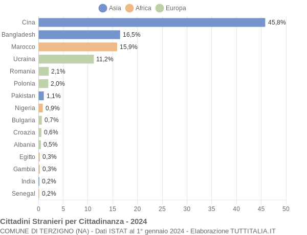 Grafico cittadinanza stranieri - Terzigno 2024