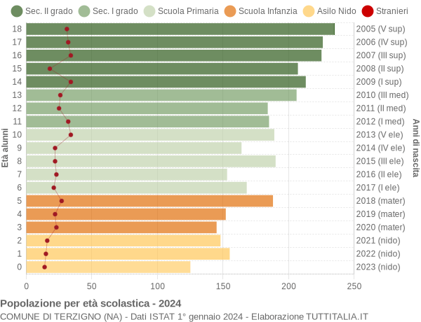 Grafico Popolazione in età scolastica - Terzigno 2024