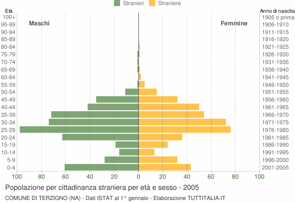 Grafico cittadini stranieri - Terzigno 2005