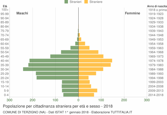 Grafico cittadini stranieri - Terzigno 2018