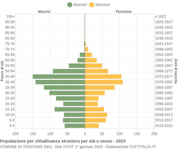 Grafico cittadini stranieri - Terzigno 2023