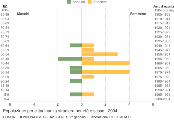Grafico cittadini stranieri - Vibonati 2004