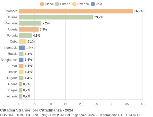 Grafico cittadinanza stranieri - Brusciano 2024