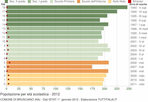 Grafico Popolazione in età scolastica - Brusciano 2012