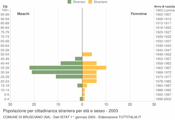 Grafico cittadini stranieri - Brusciano 2003