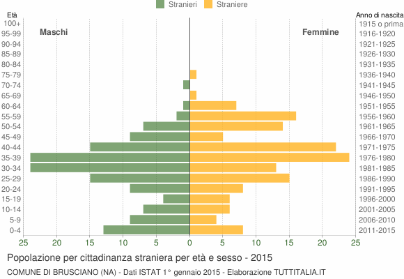 Grafico cittadini stranieri - Brusciano 2015
