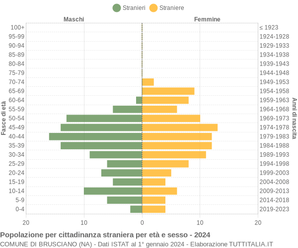 Grafico cittadini stranieri - Brusciano 2024