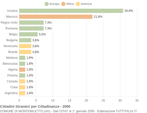 Grafico cittadinanza stranieri - Montemiletto 2005