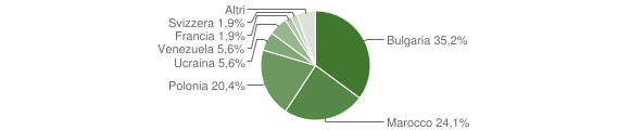 Grafico cittadinanza stranieri - Teora 2010