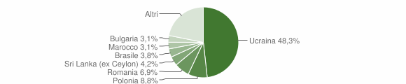 Grafico cittadinanza stranieri - Ercolano 2009