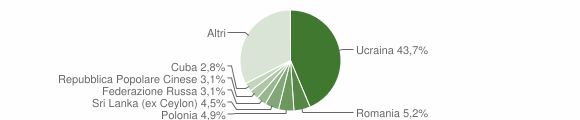 Grafico cittadinanza stranieri - Ercolano 2013