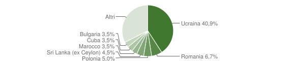 Grafico cittadinanza stranieri - Ercolano 2015