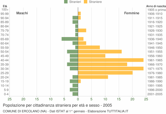 Grafico cittadini stranieri - Ercolano 2005