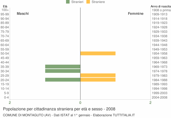Grafico cittadini stranieri - Montaguto 2008