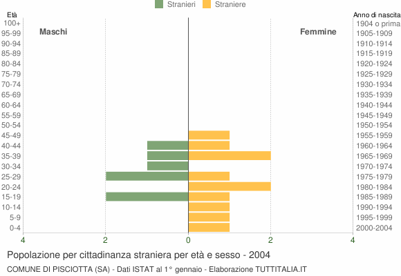 Grafico cittadini stranieri - Pisciotta 2004