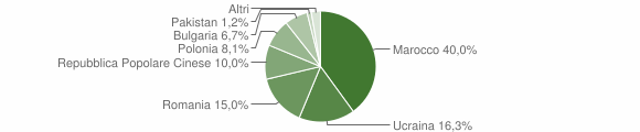 Grafico cittadinanza stranieri - Striano 2013