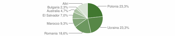 Grafico cittadinanza stranieri - Moiano 2011