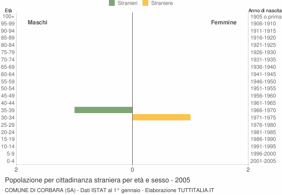 Grafico cittadini stranieri - Corbara 2005