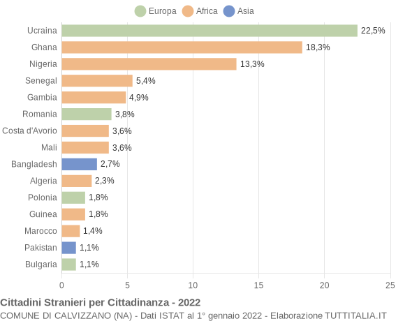 Grafico cittadinanza stranieri - Calvizzano 2022