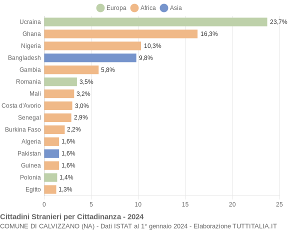 Grafico cittadinanza stranieri - Calvizzano 2024