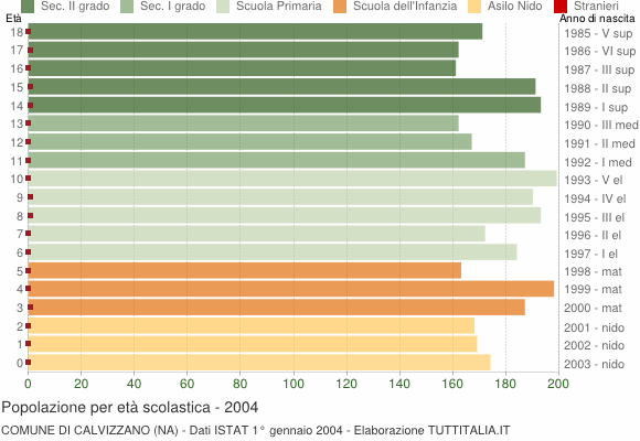 Grafico Popolazione in età scolastica - Calvizzano 2004