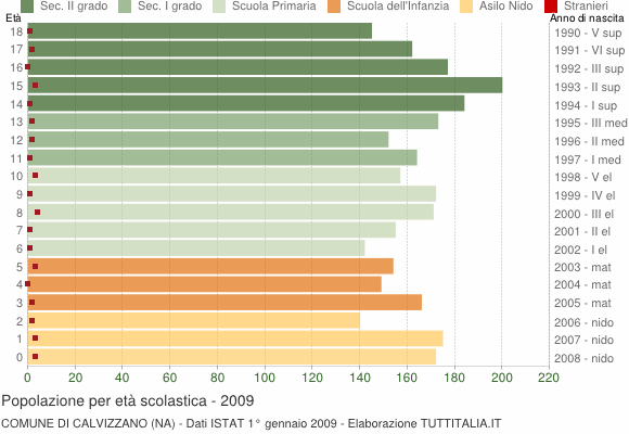 Grafico Popolazione in età scolastica - Calvizzano 2009