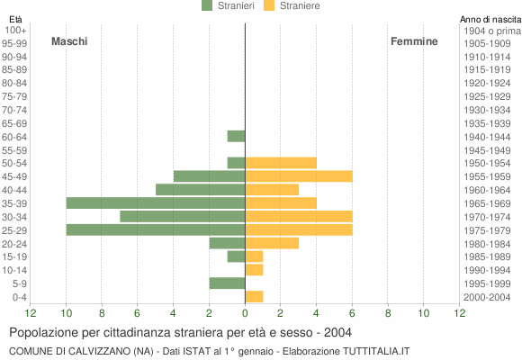 Grafico cittadini stranieri - Calvizzano 2004